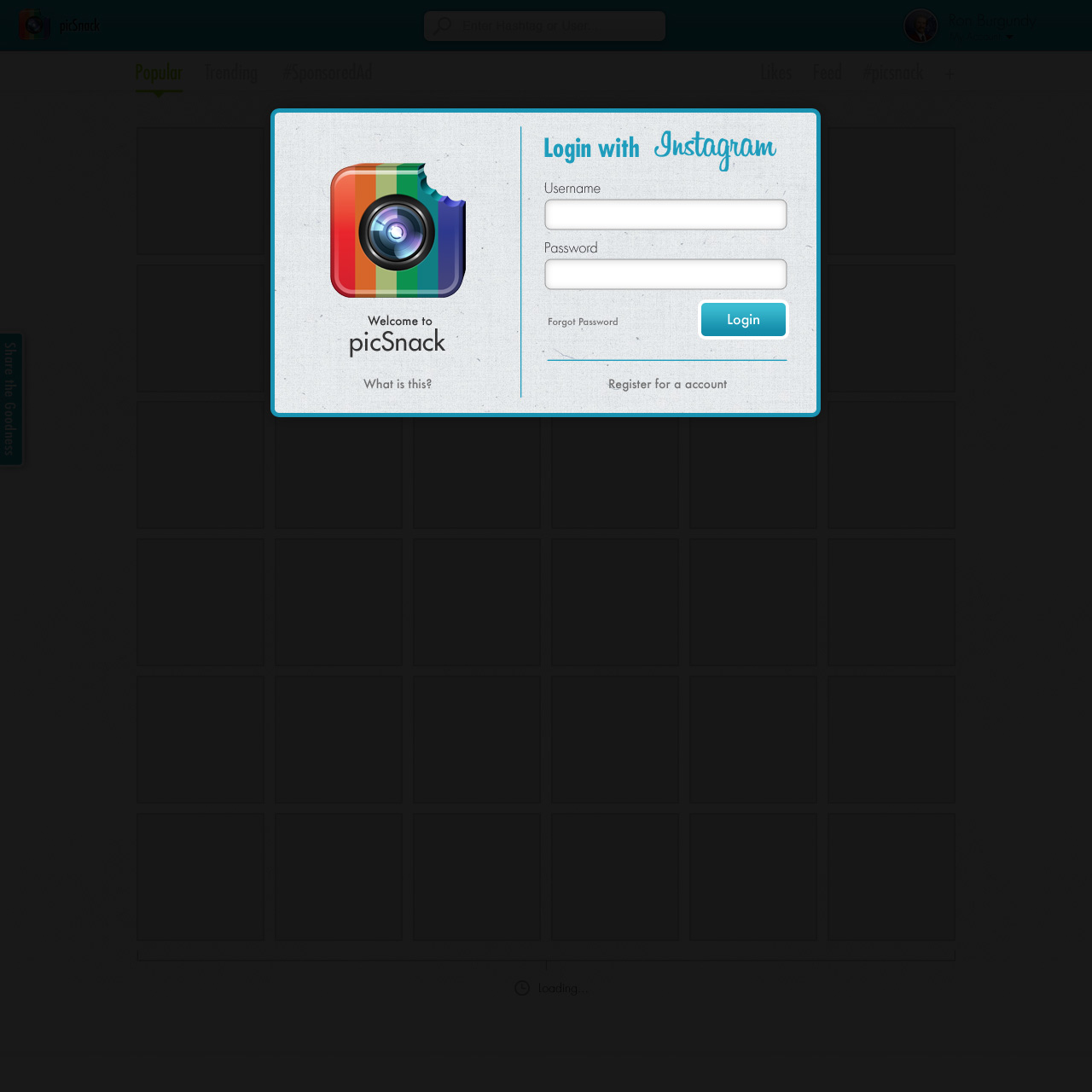 Screenshot of Program Apollo website